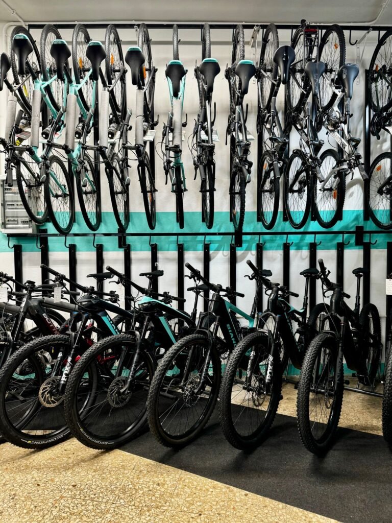 esposizione bici leardini